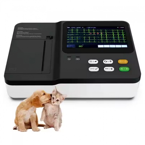 Veterinary Loop Recorder IN-06VET High Quality Veterinary Instrument 6 Channel 12 Leads Ecg ...