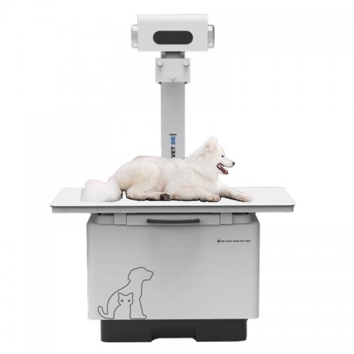 Dog Radiograph Machine IN-32KW-P Dr X-ray Digital Vet Radiography X-ray Veterinary-Digital ...